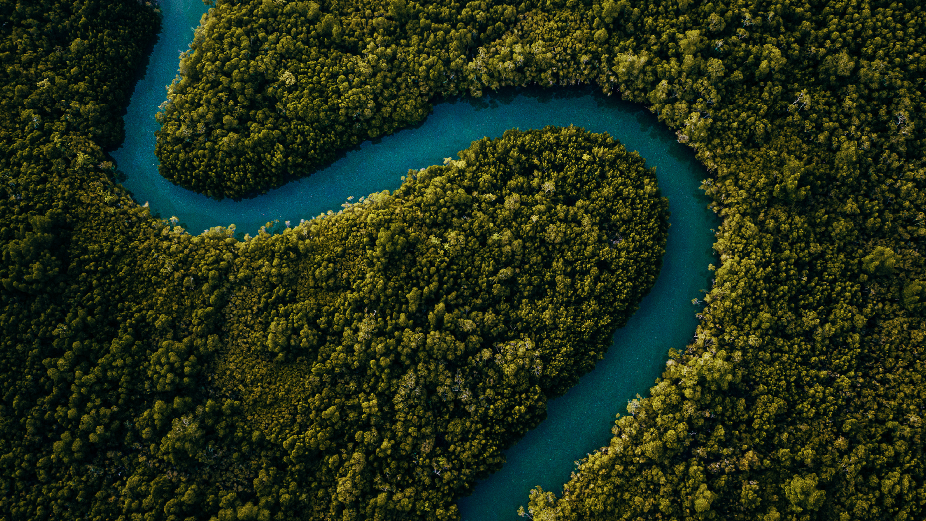 Sustainable Development